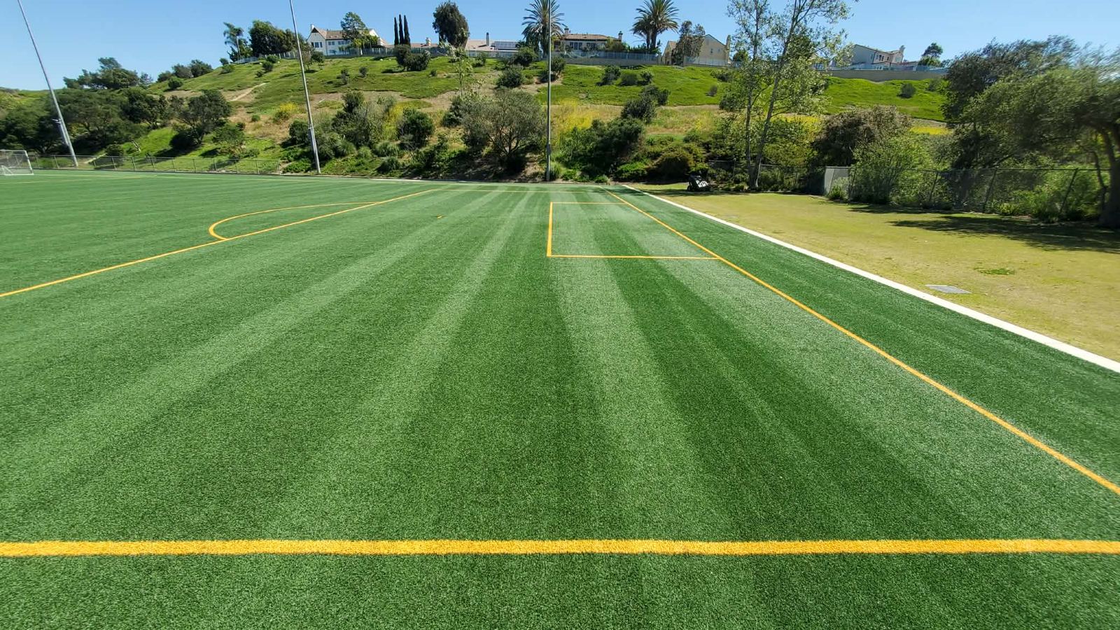 Groomed soccer turf
